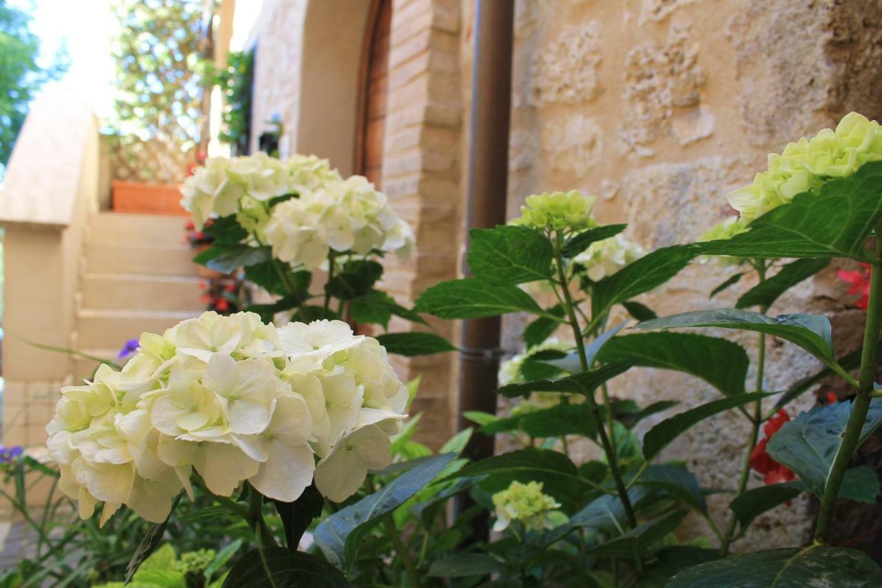 La Zaffera Alatri Exterior foto